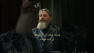 الانس و النمس ضحك 