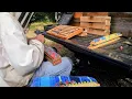 Beekeeping Tips from Hawaii s Master Beekeeper Zak Heintzleman