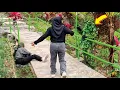 Download Lagu Benar-benar gila..!! Bushman prank kocak parah. #funny #happy #entertainment #lol