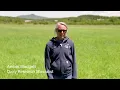 Forage Quality Research with Amber Blodgett