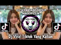 Download Lagu DJ SEPANJANG HIDUP MAHER ZEIN DJ VIRAL TIKTOK TERBARU YANG KALIAN CARI 