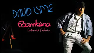 david lyme bambina extended fabmix 1985