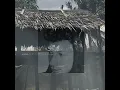 LALAYON—_–La_kaka_tua_Remix 2022—_–