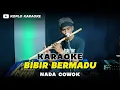 Download Lagu BIBIR BERMADU KARAOKE NADA COWOK / PRIA VERSI DANGDUT KOPLO TERBARU
