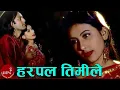 Download Lagu Harpal Timile - Arun Karki | Shambhujeet Baskota| Nepali Song