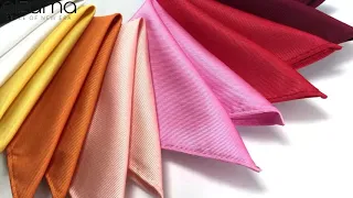 Elzama Microfiber Solid Color Twill Ties with Hankie Tie Clip in Amazon for party special events
