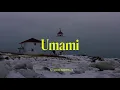 Klô Pelgag - Umami (Lyric vidéo officiel)