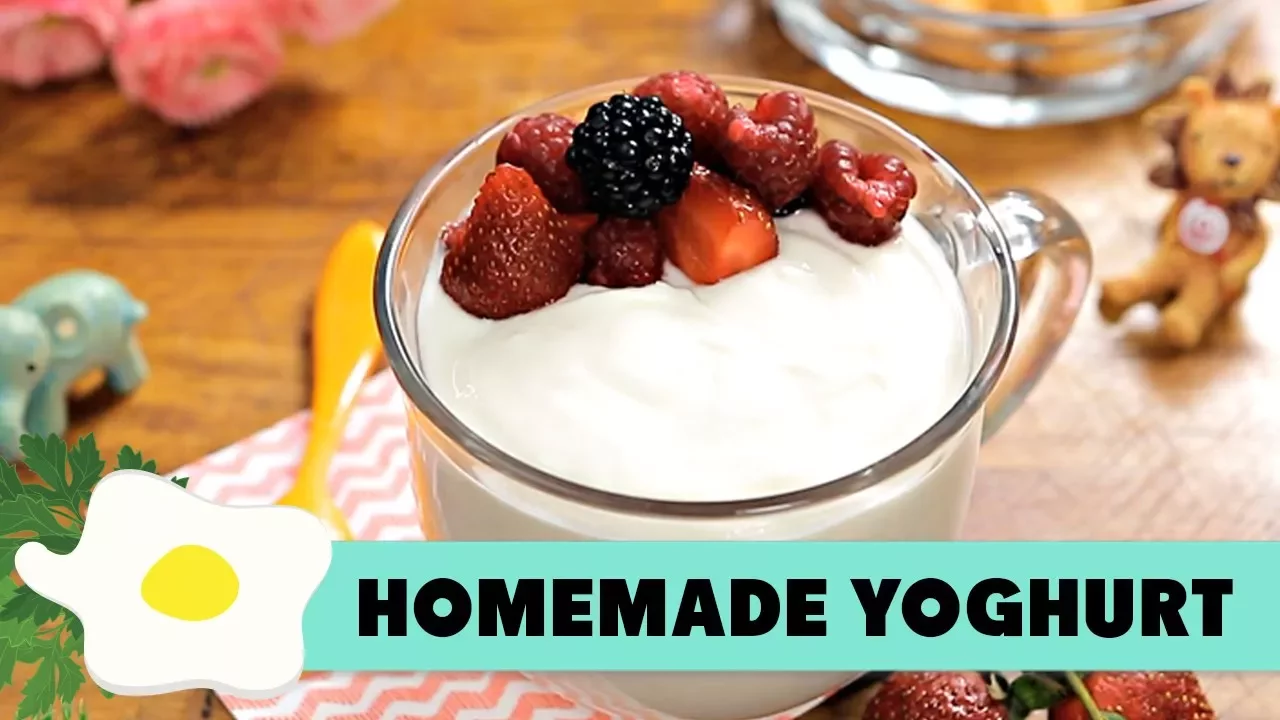 How To Make Frozen Yogurt + 4 New Frozen Yogurt Recipes | A Sweet Pea Chef