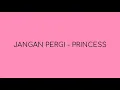 Download Lagu Princess - Jangan Pergi (lirik)