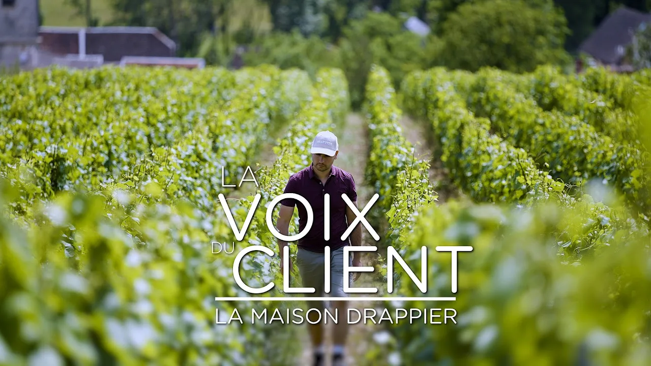 TotalEnergies - La Voix du Client