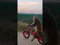 Download Lagu Sagar di voti 🤣🤣🤣 #funny #shorts #viral #trending tren