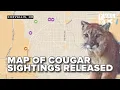 More cougar sightings in Corvallis