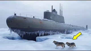 Científicos hallaron un submarino de la Segunda Guerra en el Ártico – Su interior asombró a todos