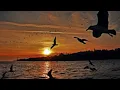 Bülent Ortaçgil-Bu Su Hiç Durmaz ♫ Kırmızı Tramvay ♫