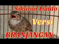 Download Lagu 🇮🇩𝙈𝘼𝙎𝙏𝙀𝙍𝘼𝙉🇮🇩 BRANJANGAN GACOR DOR ISIAN SIKATAN LONDO FULL SPEED   by Lee Birds Farm