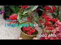Jjapaghetti (Feat. CHANGMO) - Paul Blanco (KY.51528) / KY KARAOKE