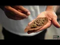 How To Roll A Backwood W Gelato Savage