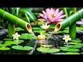 Download Lagu Sleep Music for Deep Sleep 🌿 Relieves Depression and Anxiety, Water Sounds, Bamboo Water Fountain