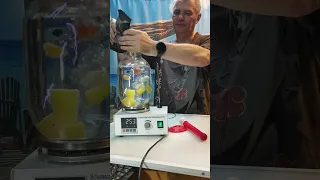 Настойка Тропик микс быстро и без затей 