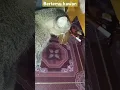 Download Lagu kucing marah #catlover #funny #shorts