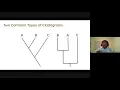 - - Cladogram Overview
