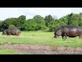 National Parks of the World Amazing Views 4K