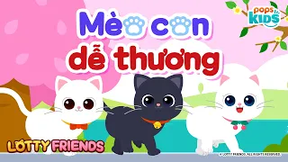 Mèo con dễ thương | LOTTY FRIENDS | Khám phá động vật