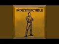 Lagu Indestructible