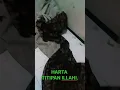 Download Lagu VIDIO SHORT s .HARTA Hanyalah TITIPAN ilahi .
