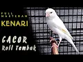 Download Lagu DIJAMIN NYAUT...!!! Masteran Burung KENARI GACOR Roll Tembak, Full Isian Suara Jernih