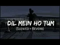 Download Lagu Dil Mein Ho Tum ||New||Lofi Song|| Slowed \u0026 Reverb || alight motion video editing new trending hindi