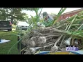 Waldo County nonprofit rescues massive garlic crop for Maine food access groups