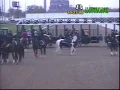 You Won t Believe This Stretch Run Hawthorne Race Course