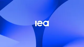 statement by iea executive director on iea oil stock release