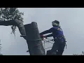 Tree Removal in with Free Estimates 904-891-8435