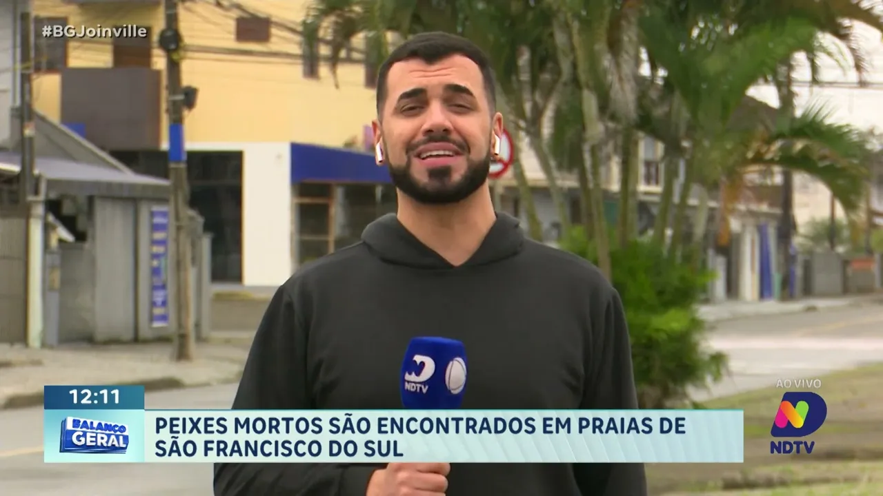 Peixes mortos são encontrados em praias de São Francisco do Sul