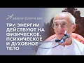 Download Lagu Три энергии действуют на физическое, психическое  и духовное тело - Аударья Дхама дас #аударьядхама