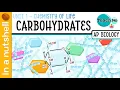 Unit 1 4 - Carbohydrates In A Nutshell