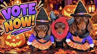 Halloween Costume Contest: Vote for YOUR FAVORITE PUPPY Dog Halloween Costume