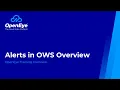 Alerts in OWS Never Miss a Security Event