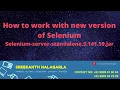 How to work with selenium Webdriver Selenium-Server-Standalone-3 141 59 jars