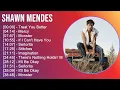Shawn Mendes 2025 MIX Best Song Of All Time - Treat You Better, Mercy, Monster, If I Can't Have You