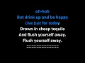 Johnny Winter - Cheap Tequila