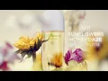 NEW Sunflowers HoneyDaze Eau de Toilette Elizabeth Arden Fragrance