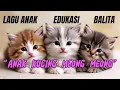 Download Lagu Anak Kucing Meong Meong! Lagu Anak Kucing Lucu | Video Musik Balita