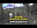Download Lagu Setelah Kayunya Habis, Tanah Warisan Dunia Dijual