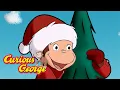 Lagu A Very Monkey Christmas! 🐵 Curious George 🐵 Kids Cartoon 🐵 Kids Movies