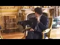 Emmanuel Macron s dog urinates in fireplace during meeting