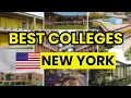 Best Colleges in New York 2026 Top Universities Ranked for Students