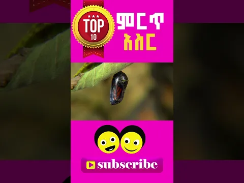 ምርጥ አስር | Top Ten | yeethiopia lijoch TV' Top Ten Ethiopian children tv